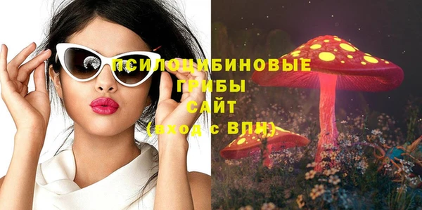 шишки Армянск