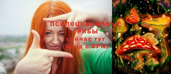 шишки Армянск