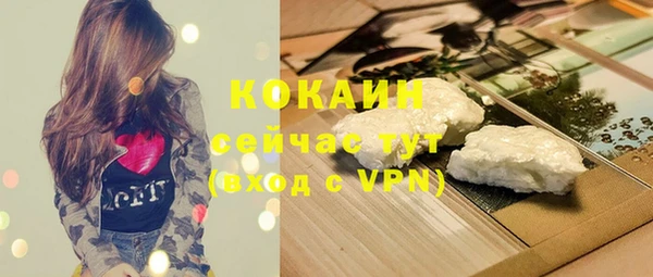 прущие грибы Балабаново